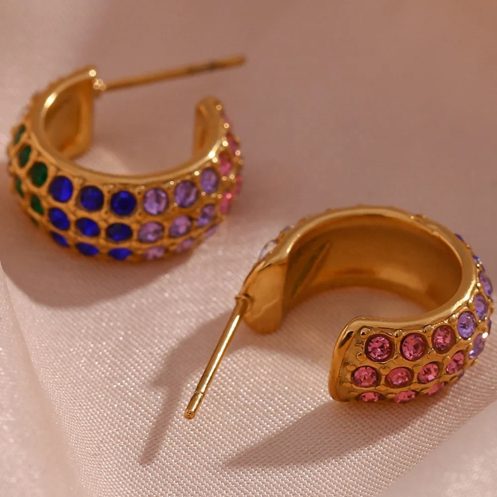 Inaya multicolor Earrings