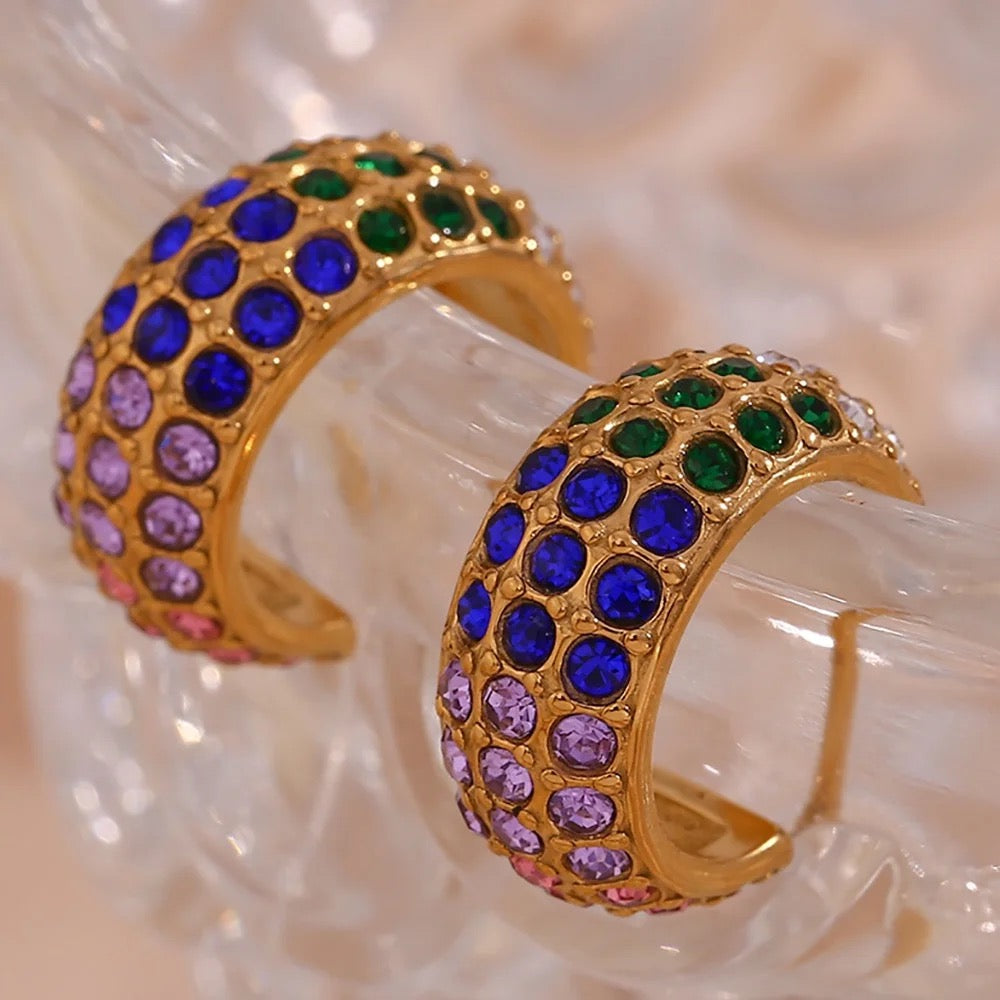 Inaya multicolor Earrings