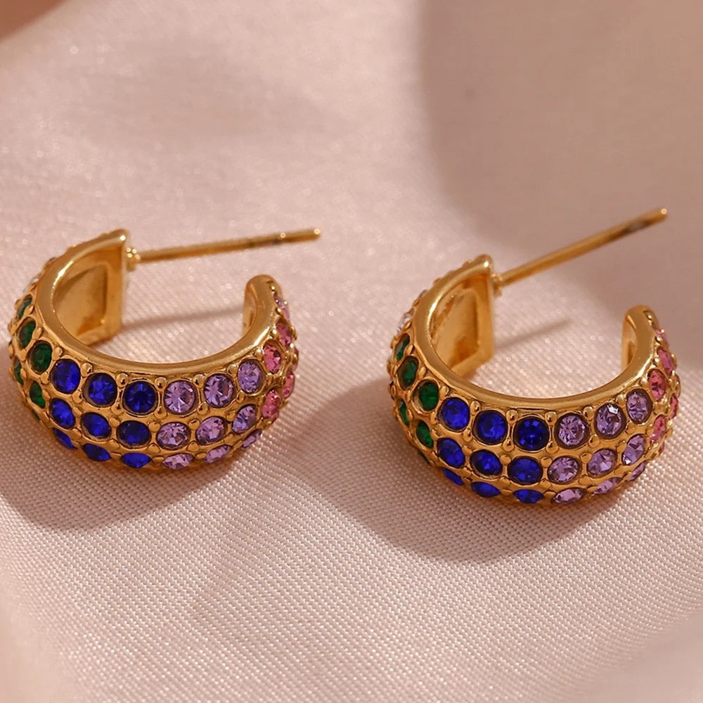 Inaya multicolor Earrings